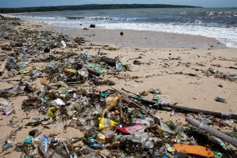 ocean-plastic-toxic-absorb